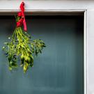 A bough of mistletoe hangs by a ribbon over a doorway.