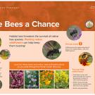 Give Bees a Chance