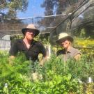 Image of Taylor Lewis, nursery manager and Abbey Hart, special projects manager with the trees they are working to restore to Capitol Park in Sacramento.