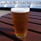 Image of a pint beer on a picnic table.