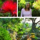Images related to the Gottleib Native Garden. 