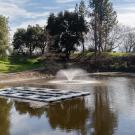 Solar Panels in the Arboretum Waterway