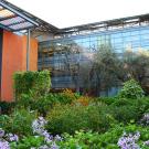 Blooming garden in the courtyard of the Robert Mondavi Institute