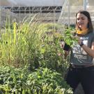 Assistant Nursery Manager Abbey Hart inspects herbs she has grown for upcoming plant sales.