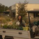 Two arboretum employee stand near a vehicle with plants in the back