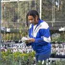 Person in blue jacket inspecting plants in a nursery