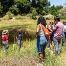 A group of people stand on the banks of the Arboretum Waterway