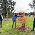 Two UC Davis Arboretum and Public Garden staff members stand next to a small orange-leaved tree while two other people look on.