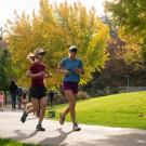 People enjoying activities in the arboretum.