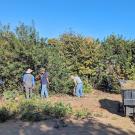 People clearing space in the Arboretum