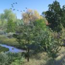 Rendering showing the floodplains and benches slated to be a part of the Arboretum Waterway Flood Protection and Habitat Enhancement Project.