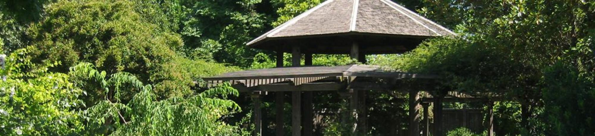 Carolee Shields White Flower Garden and Gazebo