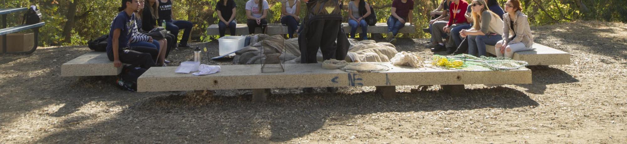 Image of class being taught at the Putah Creek Riparian Reserve.