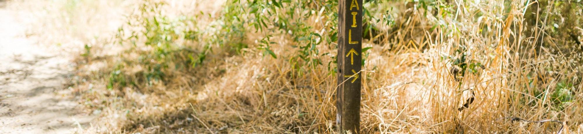 Image of trailhead post at UC Davis Putah Creek Riparian Reserve.