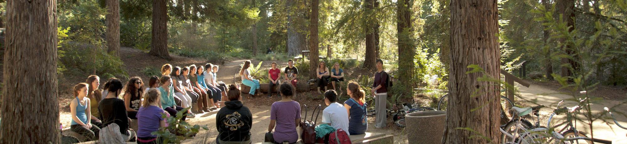 Image of class in the UC Davis Arboretum redwood grove.