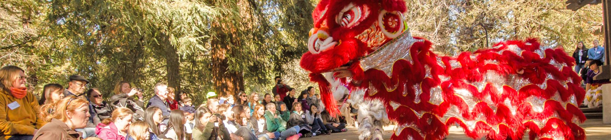 Image of Lion Dancer at Arboretum Ambassador-led event on Wyatt Deck.