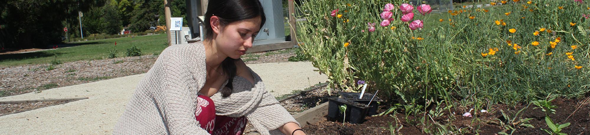 Girl in pink dress tending to plant bed. 