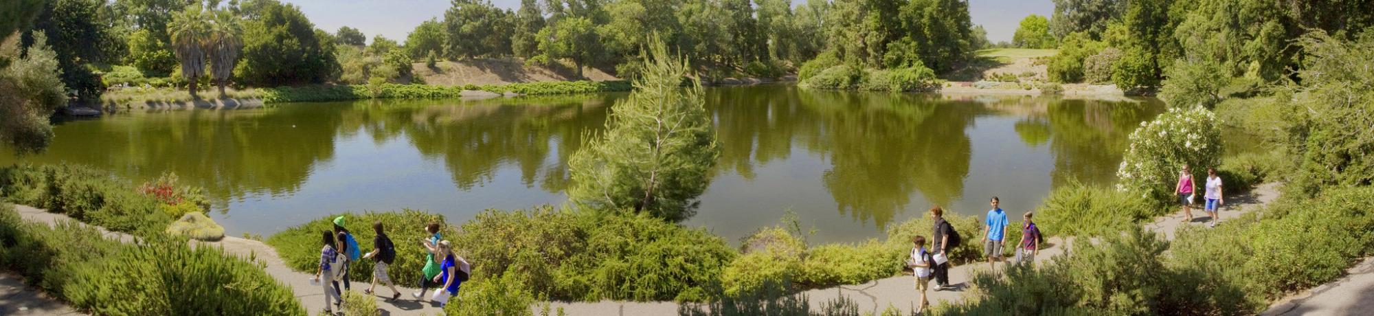 Image of visitors walking along the Arboretum Waterway in the UC Davis Arboretum's Mediterranean Collection.