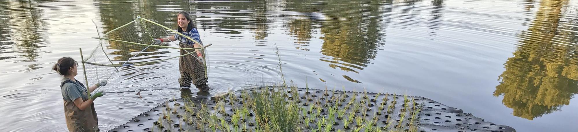 Image of the UC Davis Arboretum and Public Garden's Learning by Leading Waterway Stewardship Team renewing the floating island.