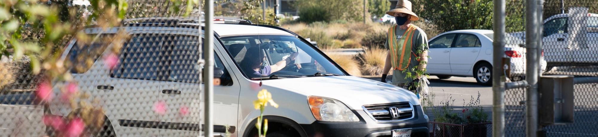 Image of customer having their car loaded with plants at the Friends of the UC Davis Arboretum and Public Garden curbside plant sale pick up.