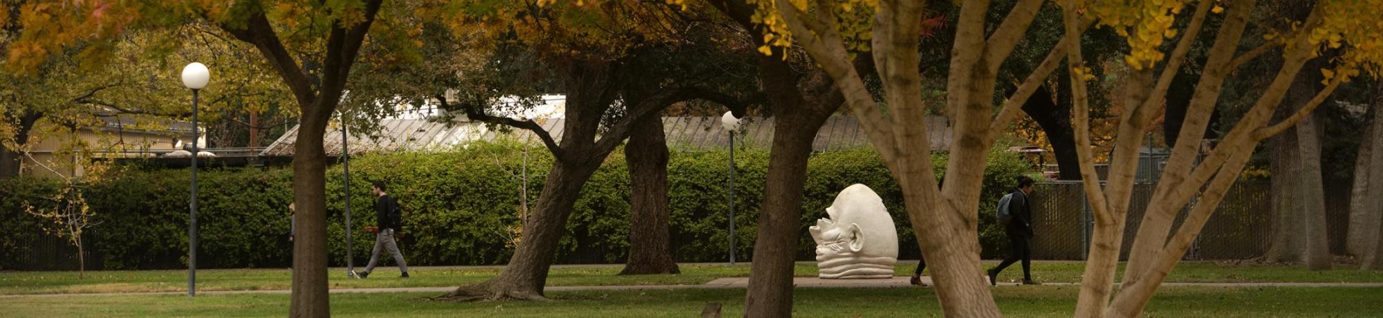 UC Davis Grounds