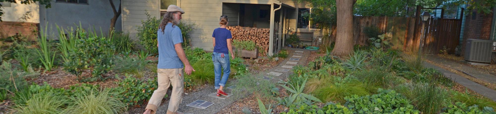 Image of Stacey Parker's front yard.