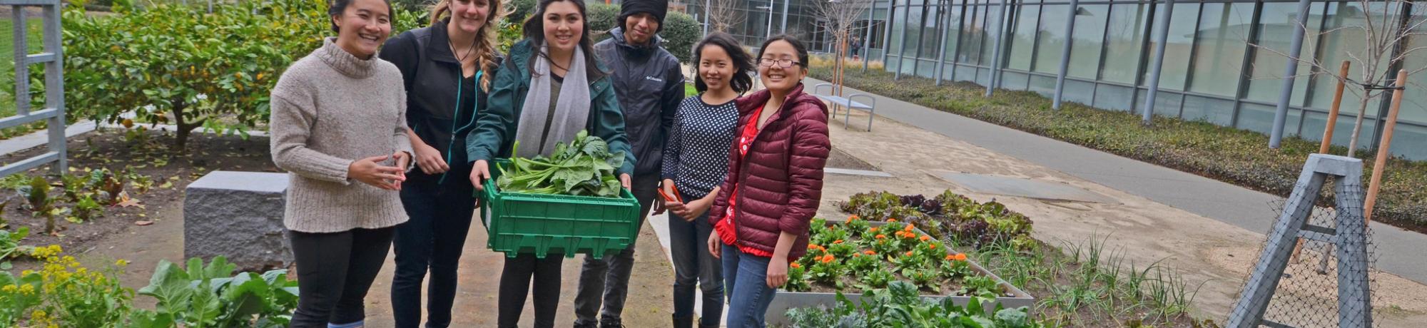 Image of students preparing to donate their Good Life Garden harvest to The Pantry.