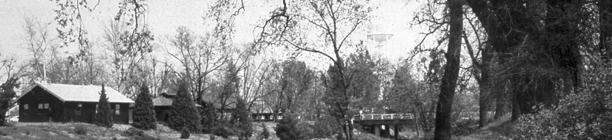 Black-and-white photograph of a country footpath by a stream, cottages, and large trees.