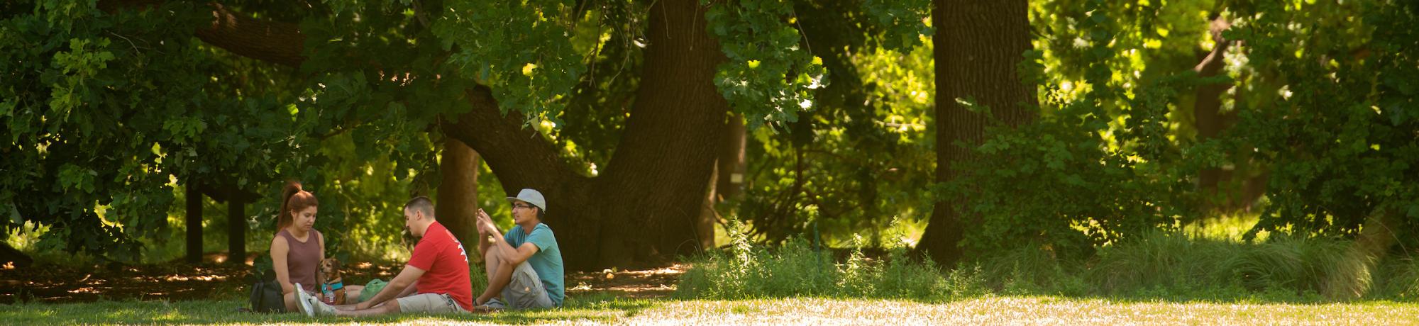 Image of three students sitting together underneath the shade of heritage oaks in the UC Davis Arboretum.