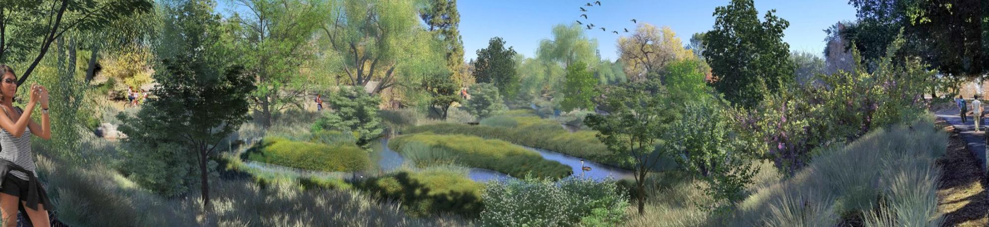 Rendering showing the floodplains and benches slated to be a part of the Arboretum Waterway Flood Protection and Habitat Enhancement Project.